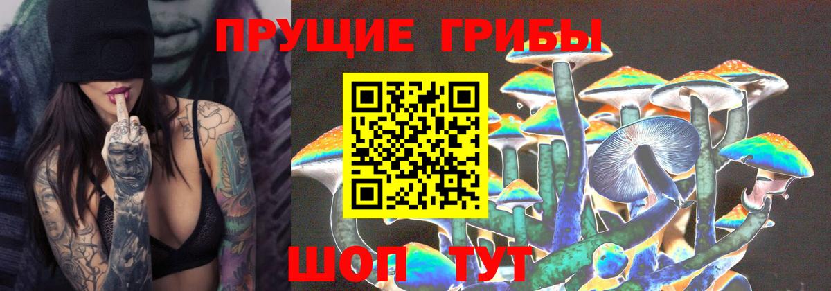 Галлюциногенные грибы мицелий  Вход с VPN  Пенза 