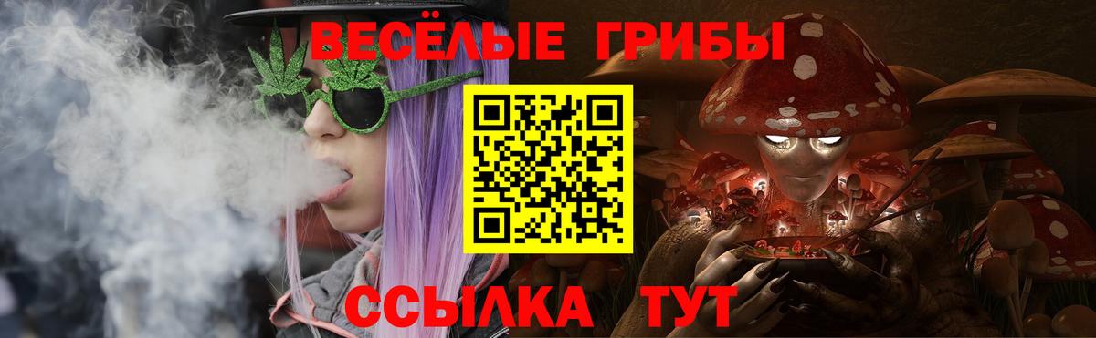 Псилоцибиновые грибы Psilocybe Пенза